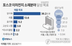 [그래픽] 포스코 이차전지 소재분야 달성 목표