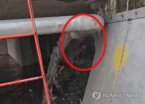 갑자기 불어난 하천에 고립된 시민 구조