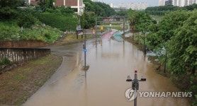 산책로까지 넘친 도림천