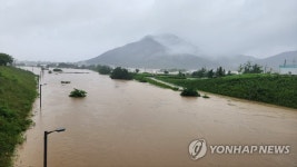 범람 위기 세종시 삼성천