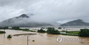 침수된 세종시 금강 시민야구장