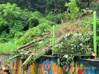 영월서 산사태…중학교 펜스 무너져