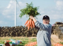 [지방소멸에 맞서다]⑩ 제주 동쪽끝 마을, 워케이션 성지로 떠오르다