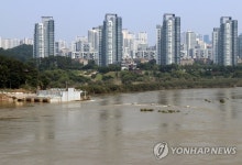 물에 잠긴 세종보
