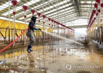 축사 청소하는 육군 장병