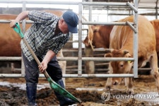 쏟아지는 오물, 정비하는 축산업자