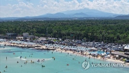피서 절정, 여기가 바로 천국