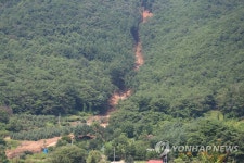 산사태로 무너진 산비탈