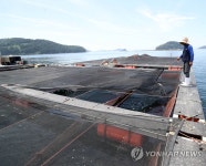 고수온 피해 잘 자라거라