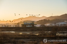 해 진 후 김해 화포천습지…8월 특별생태프로그램 운영