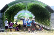 무더위에 덩굴터널로 향하는 발길