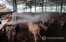 무리소테크노 | 폭염속 축사 온도 낮추기 위해 총력전