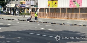 대프리카 폭염에 또 쓰러진 대구 도로 중앙분리대