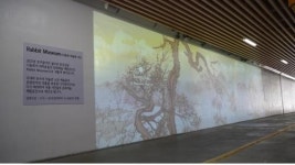 어두운 망원한강공원 토끼굴이 미디어아트 미술관 재탄생