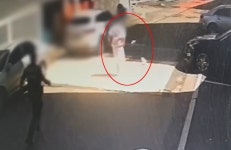 부산서 대낮 음주운전 후 달아난 20대 운전자 검거