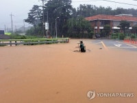 침수된 양양 7번국도