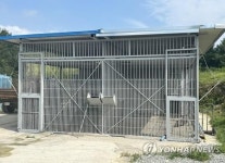 (3rd LD) Lioness shot to death after escaping from tourist animal farm in Goryeong