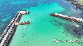 제주 판포포구 스노클링 인기