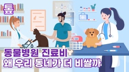 [톺뉴스] 지역에 따라 천차만별 동물병원 진료비