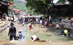 계룡산 동학사 계곡에 피서 인파