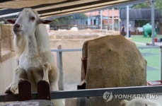 운영중단 부경동물원