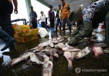 제값 받아야 할 텐데