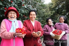 은퇴 후 동백마을 살아볼까…제주 남원에 은퇴자마을 조성