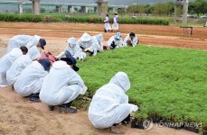 대백제전 무대 공주 금강 미르섬서 꽃묘 심기 한창