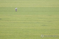 경북 100㎜ 넘는 많은 비…대구달성 92㎜ 쏟아져