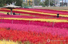 가을옷 갈아입은 고석정 꽃밭