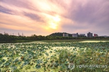 충북 진천 신척저수지 물고기 폐사 잇따라…조사 착수