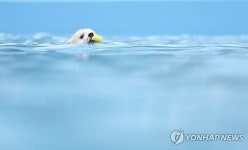 ‘가보자고’