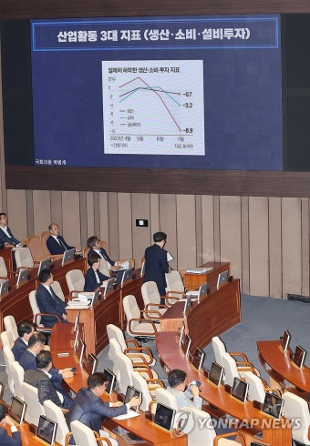 국회 대정부 질문, 경제