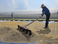 볍씨 말리는 농부