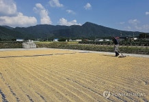 볍씨 말리는 농부