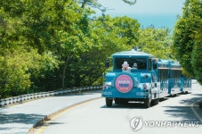부산 가을 여행은 태종대…다누비열차 무휴 운행