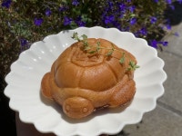 거북빵·라벤더 아이스크림 맛은…동해 거북당 플랫폼 개소