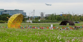 인천공항 하늘정원 코스모스 꽃밭, 다음 달 9일까지 개방