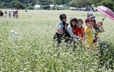 [굽이굽이 별천지] ⑫ 메밀꽃 필 무렵 소설 속 허생원의 장돌뱅이길