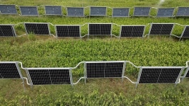 [르포] 모듈 아래서 벼·대파 재배…일석이조 영농형 태양광