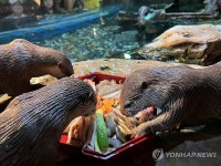 코엑스 아쿠아리움, 추석 이벤트 소원을 물결에 담다 오픈