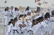 태권도 격파 시범