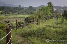 산책로가 된 38선 자리