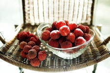 [재미있는 약초 이야기]⑪ 신선들이 즐겨 먹던 약나무 꾸지뽕