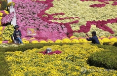 임실치즈테마파크에서 한컷