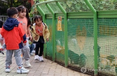 토끼와 어린이