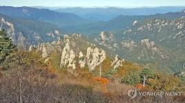 제주·남해안에 늦은 오후부터, 동해안에 밤부터 비