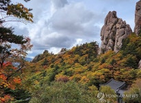바위와 단풍의 아름다운 조화