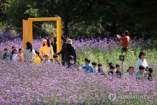 가을꽃 나들이 즐기는 어린 꿈나무들