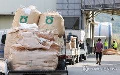 분주한 미곡종합처리장
